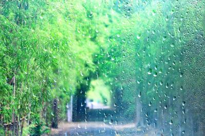 「雨の日は調子が悪く、人に会いたくない」と思ったら読んでみて！カウンセラー 時田ひさ子さんがアドバイス