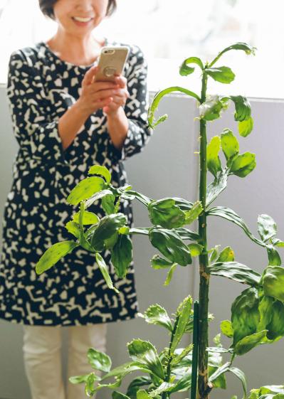 質のいいダウンコートが2500円！人気ブロガー・ショコラさんに聞く【メルカリで購入&出品のコツ】（サムネイル画像13）