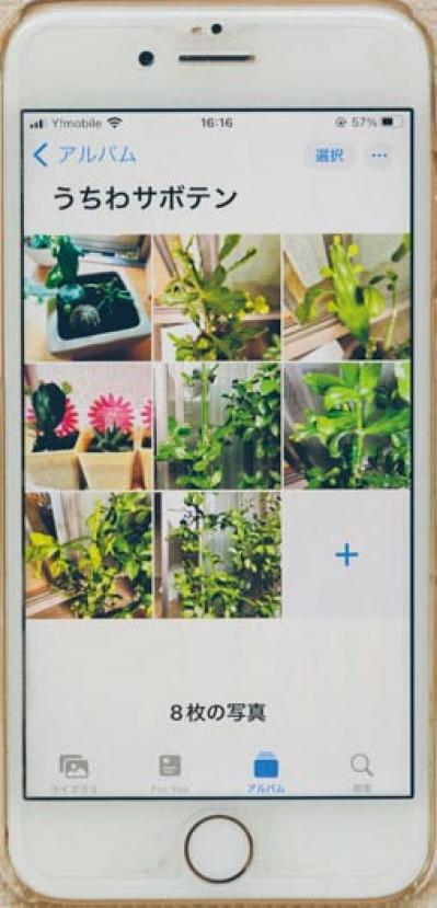 質のいいダウンコートが2500円！人気ブロガー・ショコラさんに聞く【メルカリで購入&出品のコツ】（サムネイル画像14）