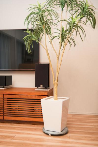 【掃除の裏技】フロアワイパー＋ちょっとの工夫で、リビングと寝室がもっとラクにキレイ！（サムネイル画像9）