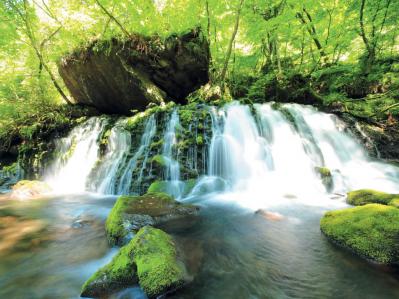 【真夏でも涼しい滝】3選｜旅行のプロおすすめの夏に行きたい日本の水辺（サムネイル画像5）