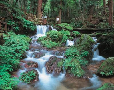 【真夏でも涼しい滝】3選｜旅行のプロおすすめの夏に行きたい日本の水辺（サムネイル画像6）
