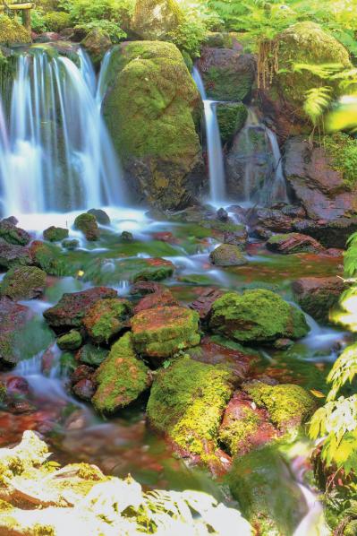 【真夏でも涼しい滝】3選｜旅行のプロおすすめの夏に行きたい日本の水辺（サムネイル画像8）