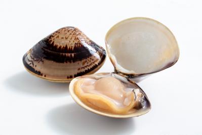 カレーを常温で放置すると菌が大繁殖!? 夏こそ危険が潜む【食中毒】の最新情報を公開！（サムネイル画像2）