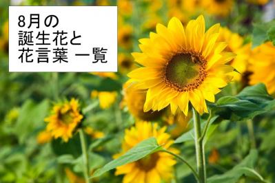 8月の誕生花と花言葉一覧【366日の誕生花と幸せの花言葉】