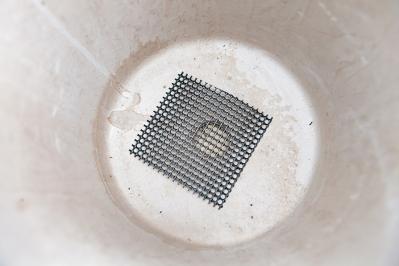 【ガーデニング】初心者でも簡単に作れる「3A」寄せ植えとは？ 夏じゅう楽しめて手入れもラク！（サムネイル画像6）