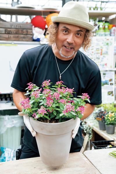 【ガーデニング】初心者でも簡単に作れる「3A」寄せ植えとは？ 夏じゅう楽しめて手入れもラク！（サムネイル画像16）