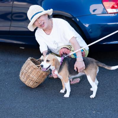 【48年ぶりのひとり暮らし】健康の秘訣は？「不安よりも、ワクワク感を大切に」イラストレーター 本田葉子さん（サムネイル画像6）