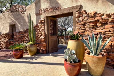 【ガーデニング】かっこいいドライガーデンにおすすめ！乾燥に強い植物［8選］（サムネイル画像4）