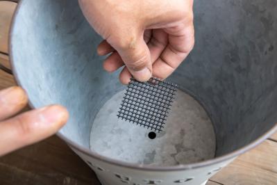 ガーデニング【富田英明さんの寄せ植え】初心者でも上手に作れる！ ブルー、パープルで涼しげな夏のコンテナ（サムネイル画像6）