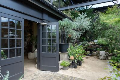 ガーデニング【富田英明さんの寄せ植え】初心者でも上手に作れる！ ブルー、パープルで涼しげな夏のコンテナ（サムネイル画像21）