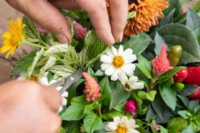 ガーデニング【富田英明さんの寄せ植え】見るだけで元気をもらえる！ ホットカラーの花のコンテナ（サムネイル画像19）