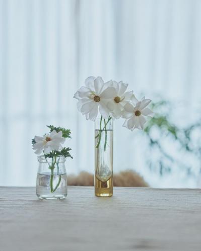  “仕事の日はめがね”にしたら、目がラクになった！…冨澤緑さんが新しく始めた7つのこと（サムネイル画像3）