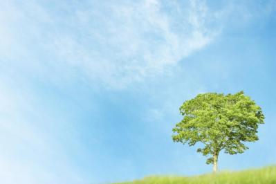 イラッとしたときに、即、実践したい【息の吐き方】とは？禅僧 枡野俊明さんに学ぶ（サムネイル画像）