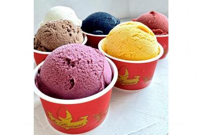 イタリア人職人直伝のジェラート【プロ料理家に人気のお取り寄せ名品】 天然のおいしさそのままのスープも（サムネイル画像2）
