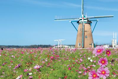 秋の行楽シーズン到来！一面の花々が圧巻の「おすすめ東京＆関東のガーデン」3選（サムネイル画像10）