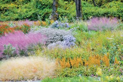 【秋の花を愛でる旅】グラスの美しさを堪能できる人気の「ナチュラリスティックガーデン」2選（サムネイル画像5）