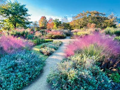 秋の行楽シーズン到来！一面の花々が圧巻の「おすすめ東京＆関東のガーデン」3選（サムネイル画像4）
