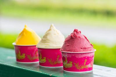 イタリア人職人直伝のジェラート【プロ料理家に人気のお取り寄せ名品】 天然のおいしさそのままのスープも