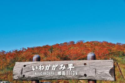 【紅葉ハイキング】山頂からの景色が圧巻！ 4時間以内で往復できる登山コース2選（サムネイル画像6）