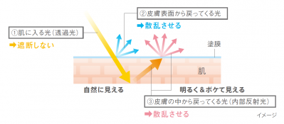 （3）小じわやキメの乱れを瞬時にぼかし、なめらかで美しい手肌に見せる （サムネイル画像）