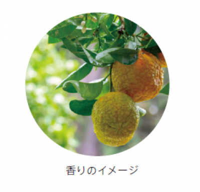 【リサージ】から、1日中うるおってハリのある美肌を守り抜くハンド美容液が新登場（サムネイル画像3）