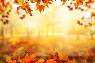 【秋の童話】を久々に一気見！19歳のソン・ヘギョに大器の片鱗がのぞく。ソン・スンホン、ウォンビンが若い！1〜6話レビュー【韓国ドラマ】