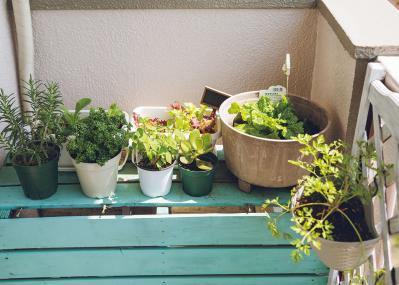 「買わずに済む方法を考える！」50代・生活費は月12万円のブロガー流【お金との付き合い方9つのルール】とは？（サムネイル画像11）