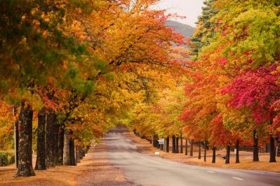 【秋の童話】ジュンソ（ソン・スンホン）の優柔不断さは「海のはじまり」の夏（目黒蓮）に通じるものを感じる7〜12話【韓国ドラマ】（サムネイル画像2）