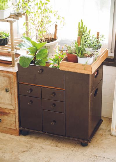 団地暮らし・月12万円生活の50代ブロガーの老後プラン「人生は思いどおりになりません。だからこそ…」（サムネイル画像6）