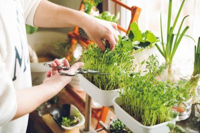 「買わずに済む方法を考える！」50代・生活費は月12万円のブロガー流【お金との付き合い方9つのルール】とは？（サムネイル画像）