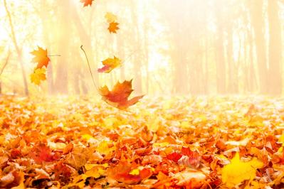 【秋の童話】テソク（ウォンビン）の献身が胸を打つ！思わず絶句の衝撃的なラストが待つ 13〜18話【韓国ドラマ】（サムネイル画像3）