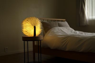 大人気のコードレス照明が登場！おしゃれな読書家が使っている”映える”インテリアとは？（サムネイル画像4）