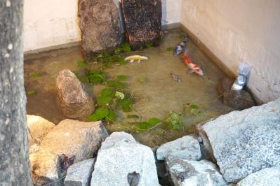 【ソウル・弘大】最新情報　風情たっぷりの韓屋カフェ。ラーメンコンビニや「梨泰院クラス」に登場した居酒屋も！【韓国旅行】  （サムネイル画像7）