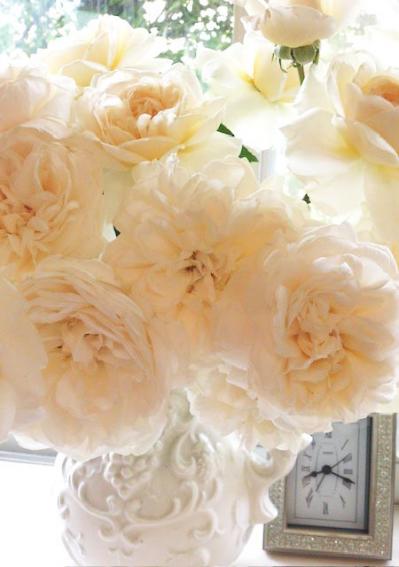 初めてのバラ選び！バラの3大花形「剣弁高芯・カップ・ロゼット」ってどんな花形？（サムネイル画像6）