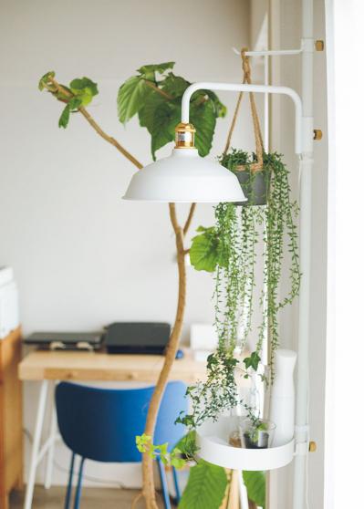 50歳で決意した住み替えは「売りやすさ」「貸しやすさ」を優先！整理収納アドバイザーのお宅拝見（サムネイル画像4）