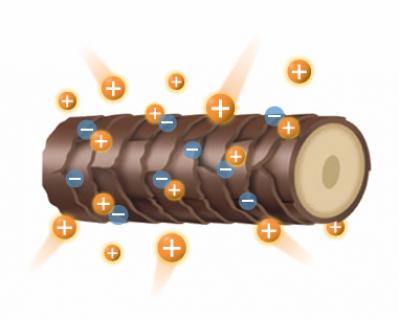 エイジング（※注1）の悩みにアプローチする2つのポイント（サムネイル画像）