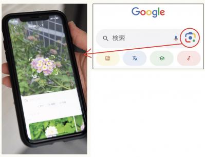 覚えておきたい【スマホの便利機能】道端に咲く花の名前がわからないときはコレ！（サムネイル画像5）