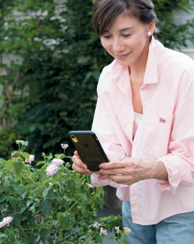 覚えておきたい【スマホの便利機能】道端に咲く花の名前がわからないときはコレ！（サムネイル画像4）
