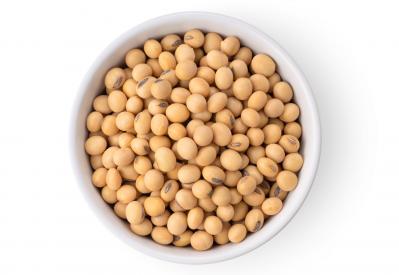 要注意！【便秘】の放置が「腸閉塞」になるかも⁉ 最低でも2日に1回は出す努力を（サムネイル画像7）