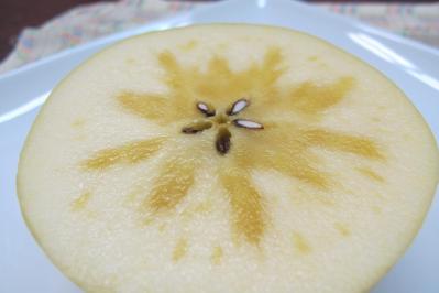 4個で1万円！皮まで美味しい、黄金の濃蜜りんごとは？ 【料理家の人気のお取り寄せ】谷島せい子さん