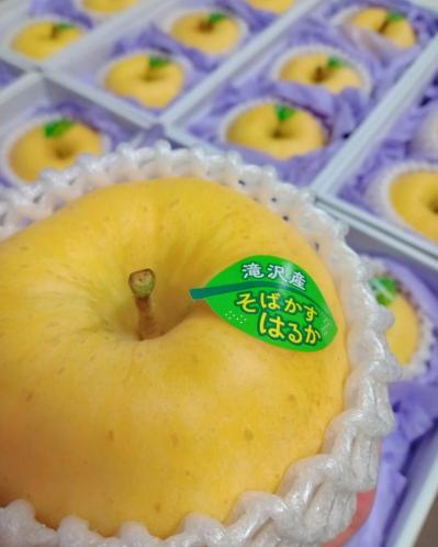 4個で1万円！皮まで美味しい、黄金の濃蜜りんごとは？ 【料理家の人気のお取り寄せ】谷島せい子さん（サムネイル画像4）