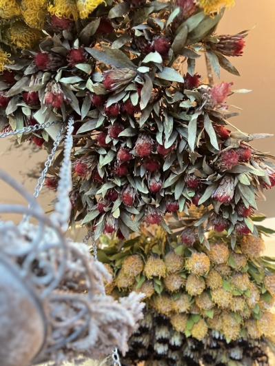 人気ドライフラワー専門店が作った特別なリースがお目見え！自宅が一気に洒落る【リース2種】（サムネイル画像9）