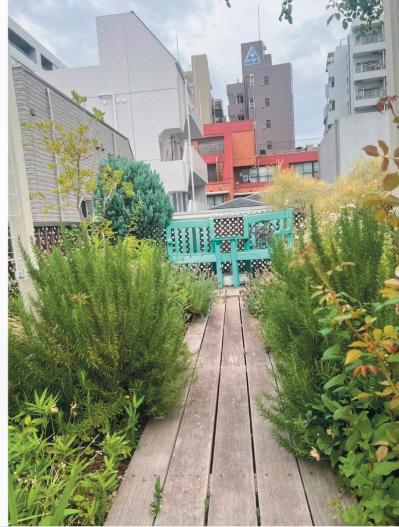 【キャシー中島さん・72歳】娘夫婦と互いにストレスなく同居する秘訣とは？［後編］（サムネイル画像3）