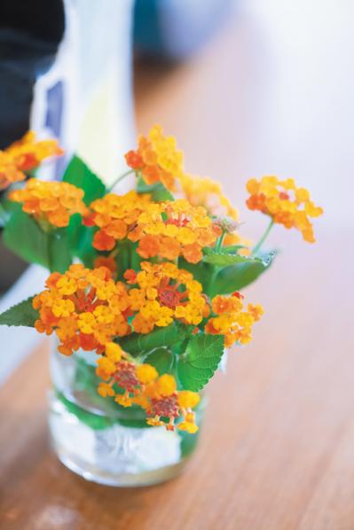 【60代からの新しい暮らし】江波戸玲子さんが叶えた葉山と東京の二拠点生活のリアルとは？（サムネイル画像7）