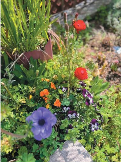 【キャシー中島さん・72歳】娘夫婦と互いにストレスなく同居する秘訣とは？［後編］（サムネイル画像5）