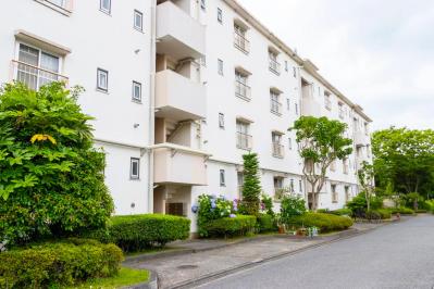 「団地のふたり」が50代に心地良い理由を考えた。私たちの心に沁みた“考える時間”とは？【2024年ドラマレビュー部門TOP5】