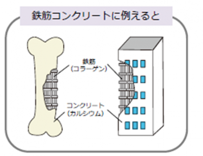 しわ・たるみの原因は「骨」だった!?　現役女優が語る夜の【時間割美容】でハリのある肌が復活！（サムネイル画像3）