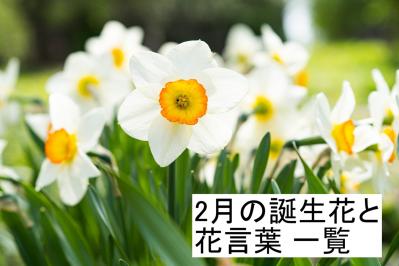 2月の誕生花と花言葉一覧【366日の誕生花と幸せの花言葉】