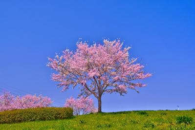【愛のあとにくるもの】還暦女子視聴記［後編］坂口健太郎に「それはダメ！」と叫んだシーンとは？【韓国ドラマ】（サムネイル画像3）